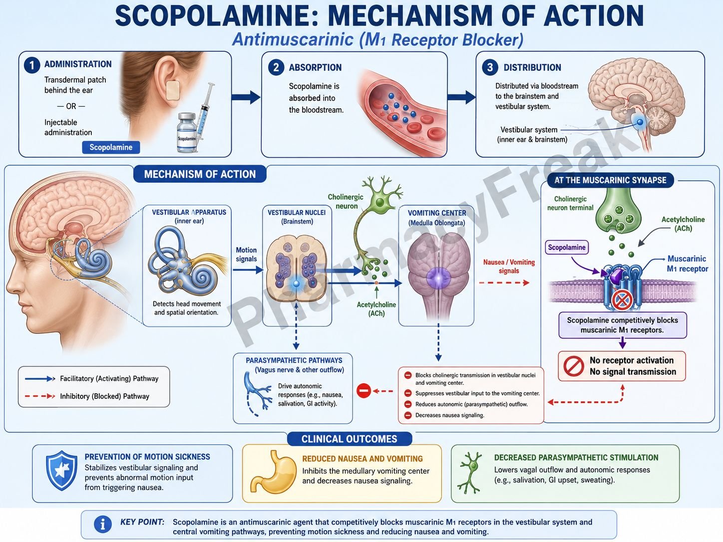 MOA of Scopolamine