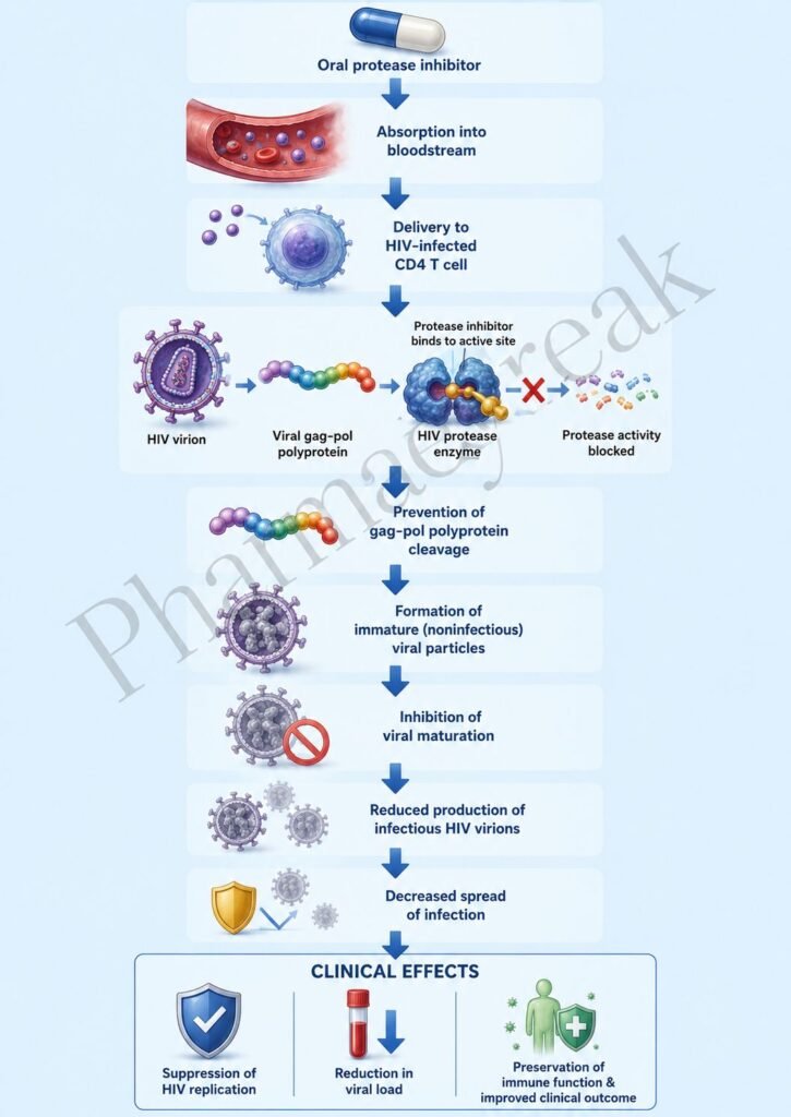 Mechanism of Action of Protease Inhibitors Flowchart