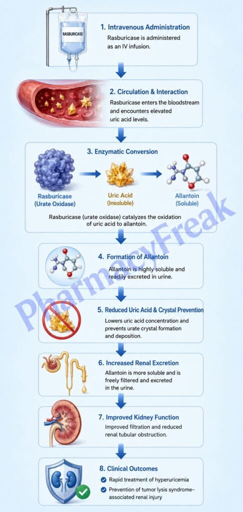 Mechanism of Action of Rasburicase Flowchart