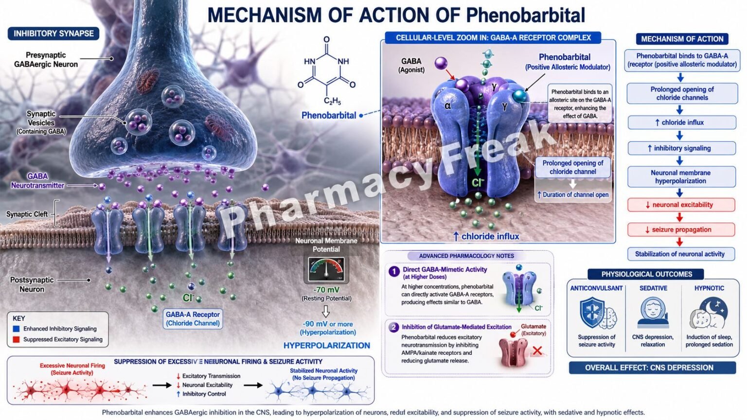 Phenobarbitol Rash Mechanism of Action of Phenobarbital