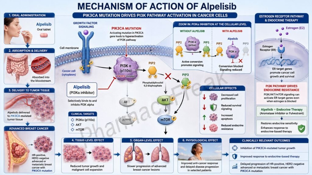 Alpelisib Mechanism of Action