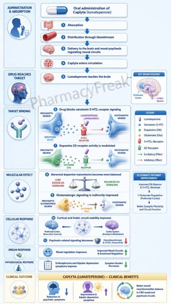 Flowchart of mechanism of action of Caplyta