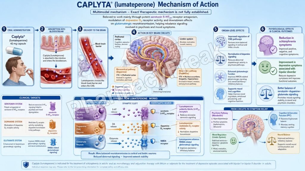 Mechanism of Action of Caplyta