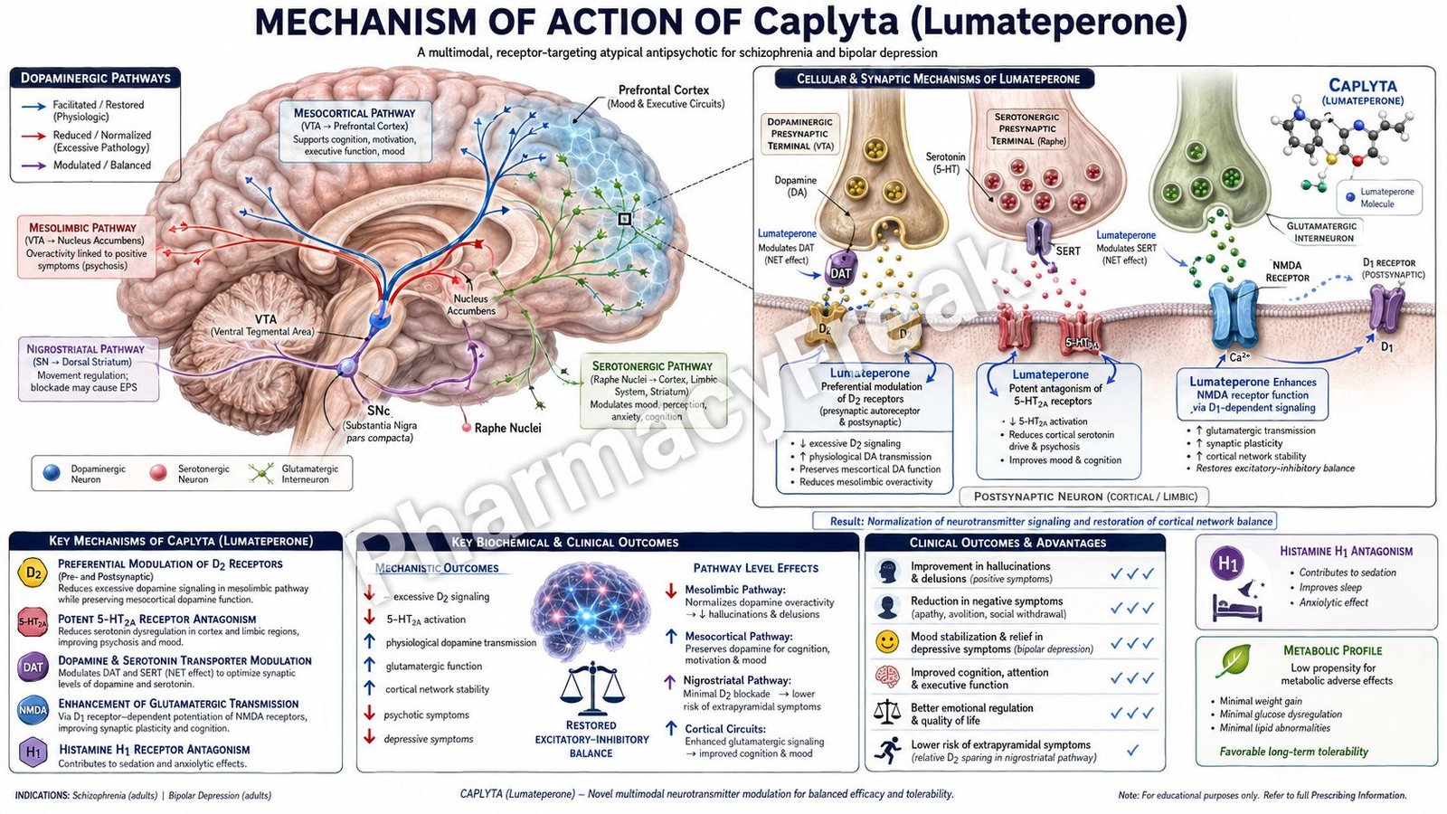 Caplyta Mechanism of Action