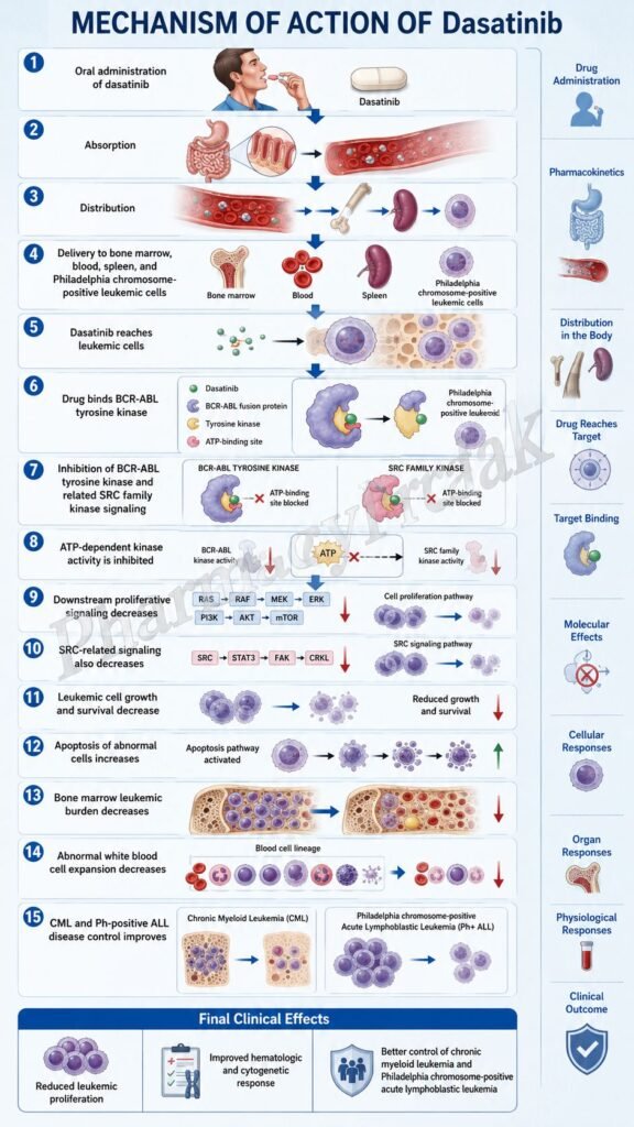 Mechanism of Action of Dasatinib Flowchart