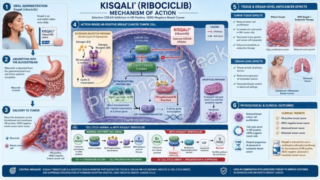 Kisqali Mechanism of Action