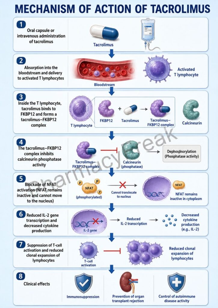 mechanism of action of Tacrolimus Flowchart