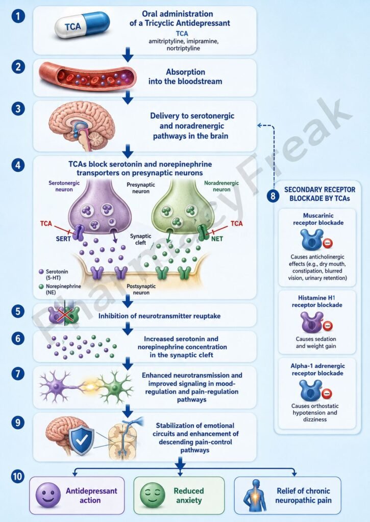 Mechanism of Action of Tricyclic Antidepressants Flowchart