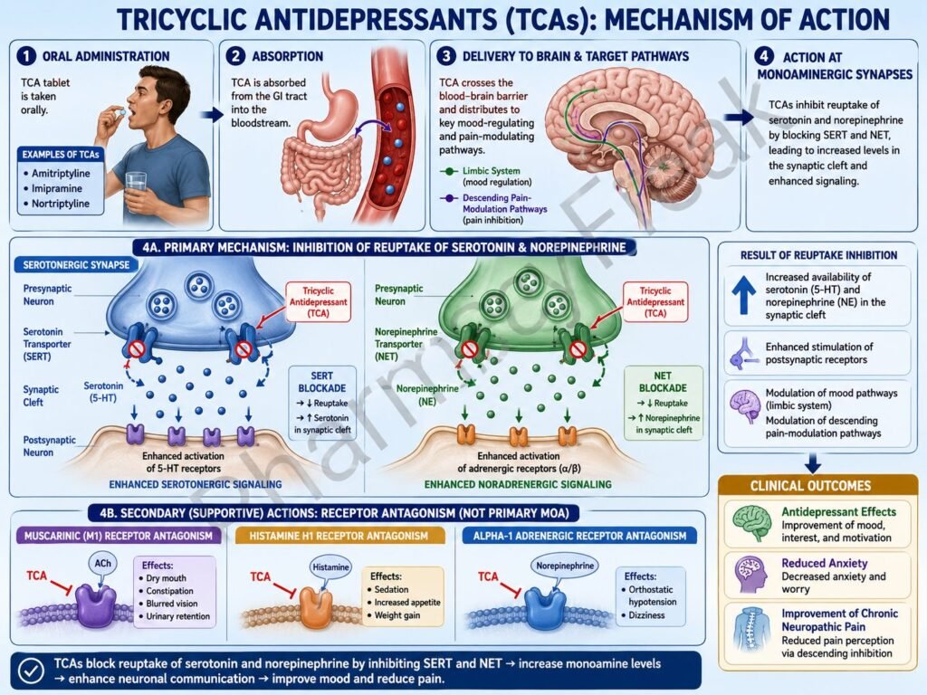 MOA of TCAs