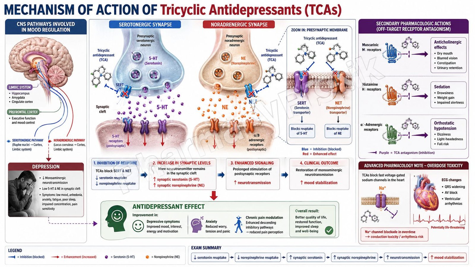 Mechanism of Action of Tricyclic Antidepressants