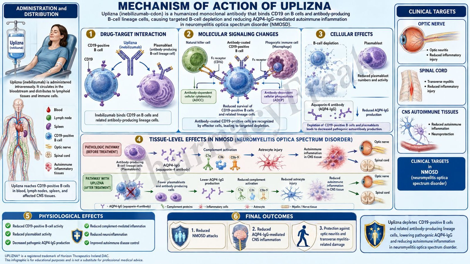 Mechanism of Action of Uplizna