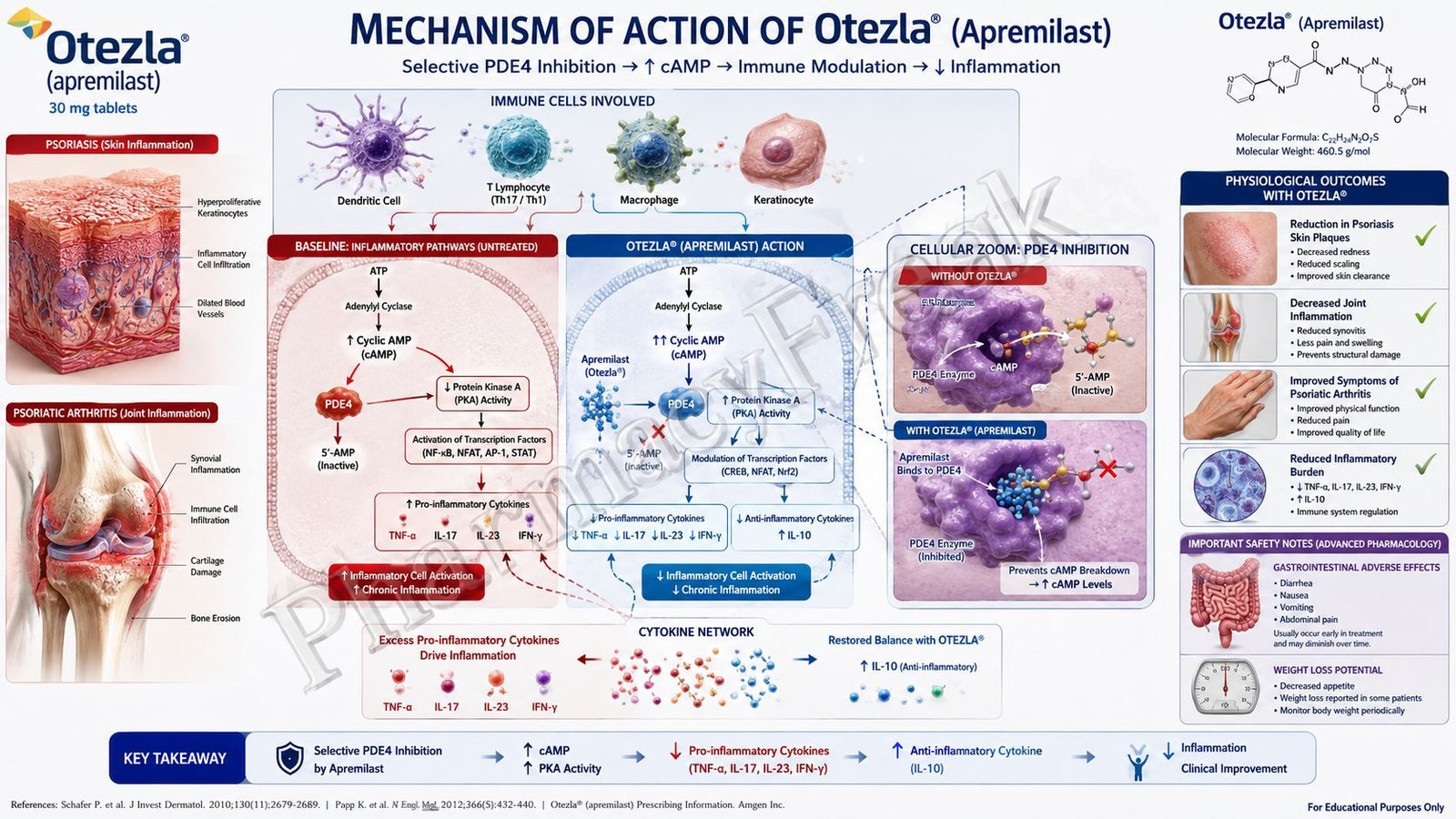 Mechanism of Action of Otezla