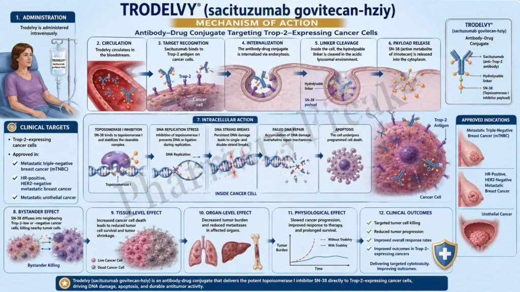 Mechanism of Action of Trodelvy