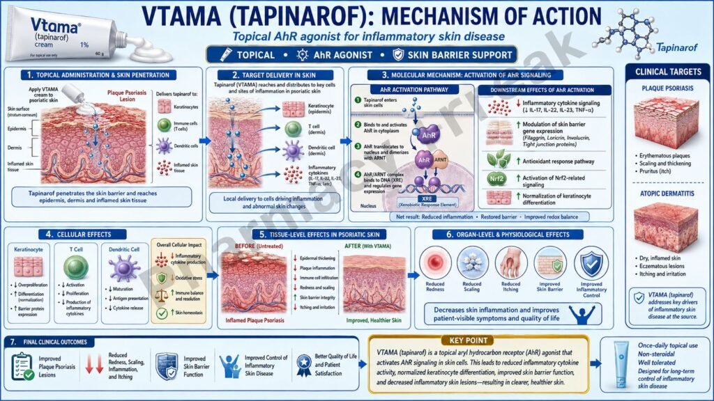 Vtama Mechanism of Action