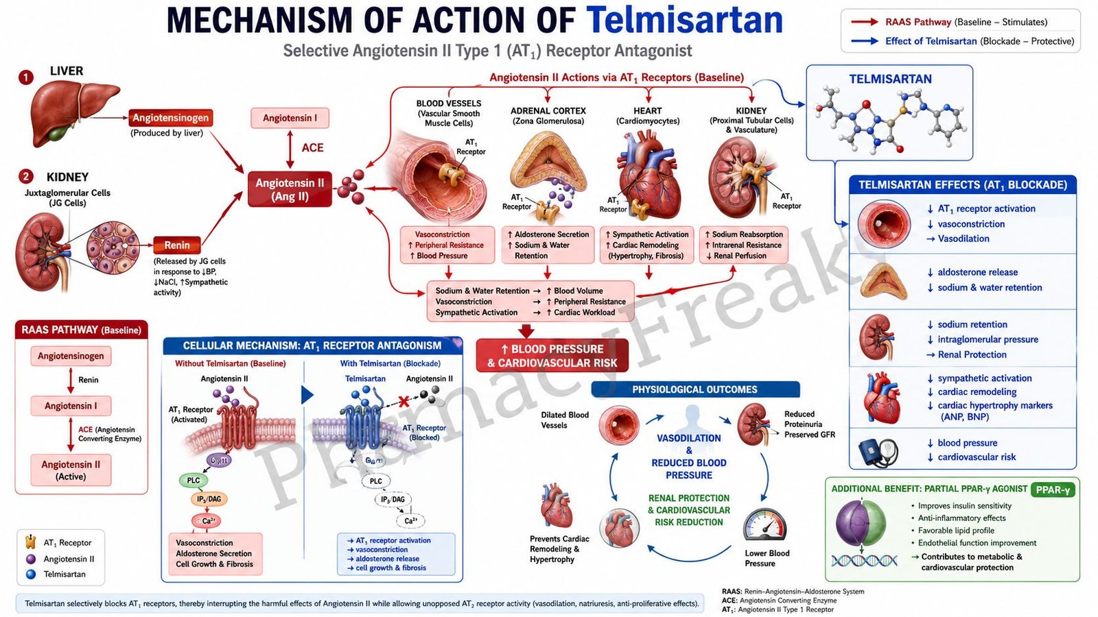 MOA of Telmisartan