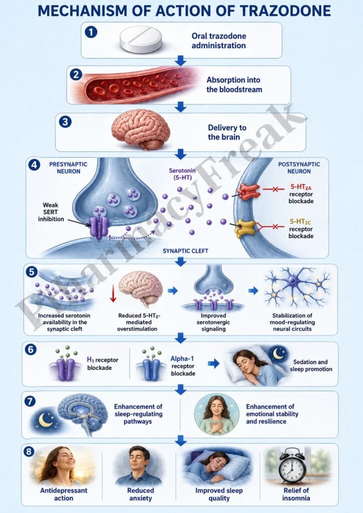 MOA  Of Trazodone flowchart