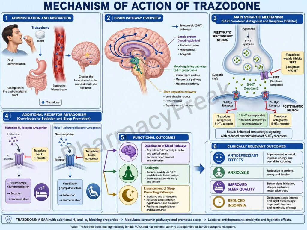 MOA Of Trazodone