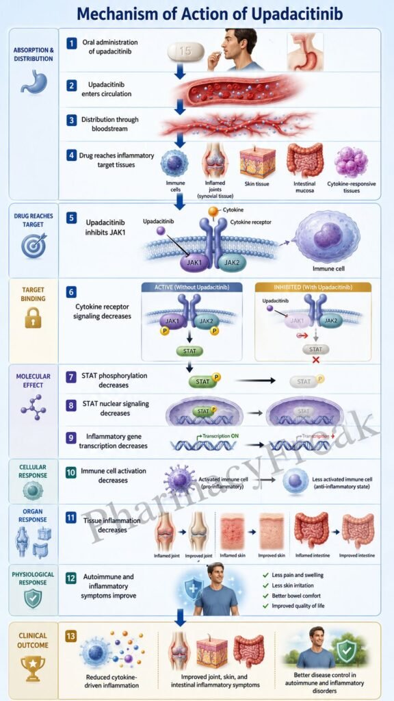 Mechanism of Action of Upadacitinib Flowchart