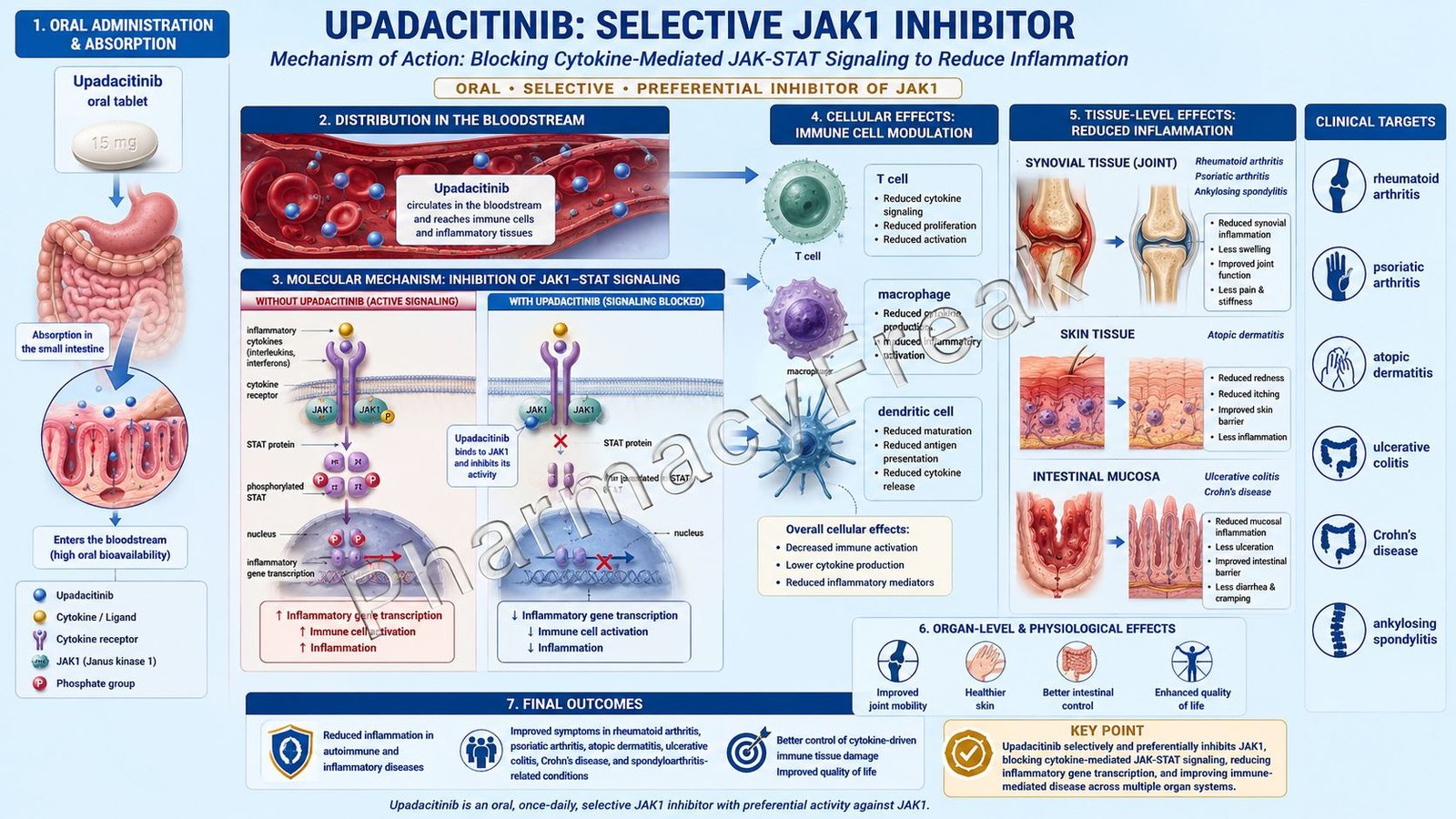 Upadacitinib Mechanism of Action