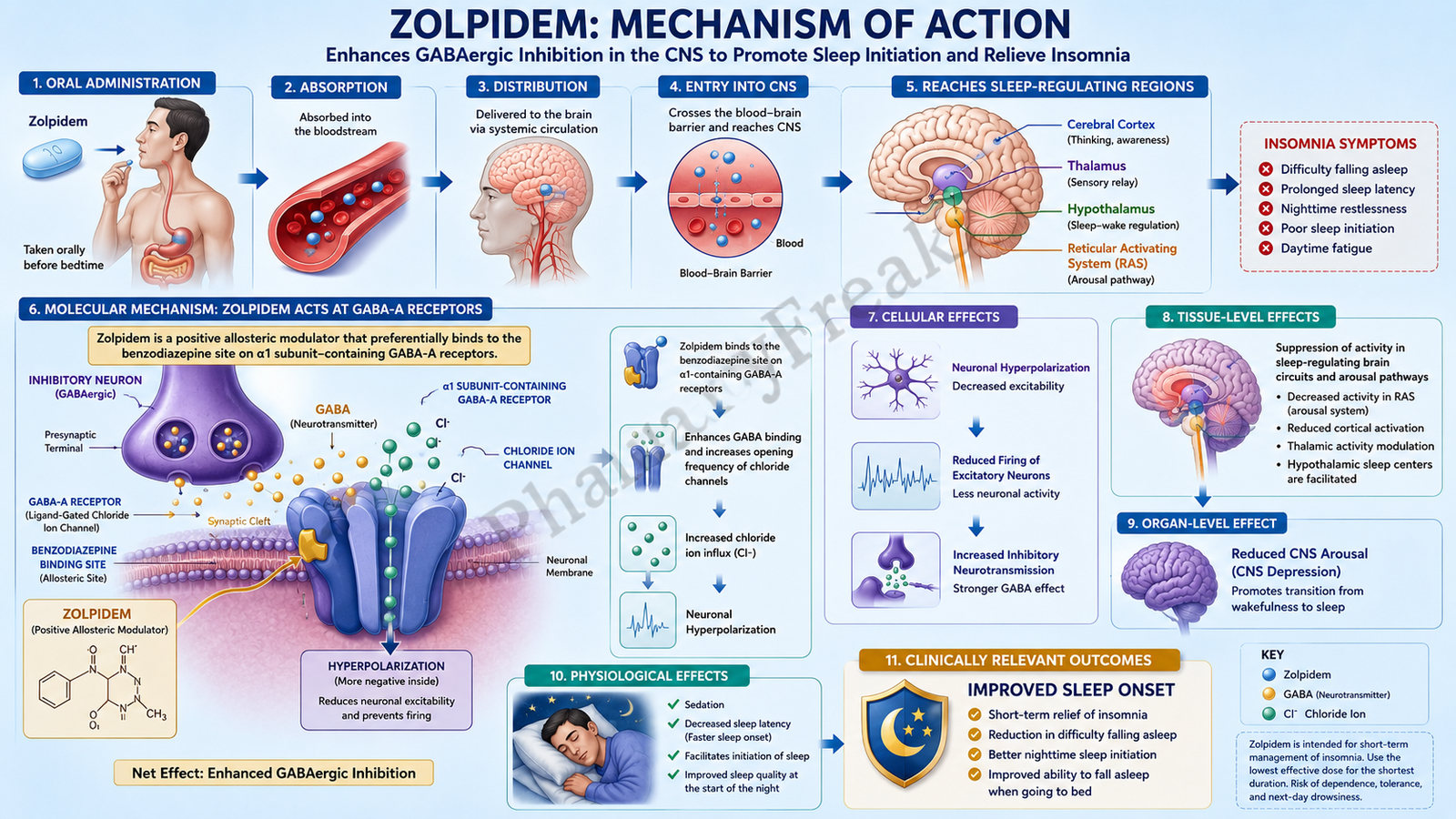 Zolpidem Mechanism of Action