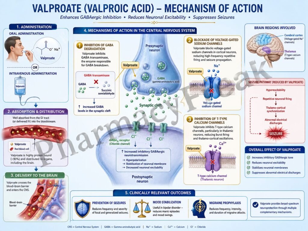 MOA of Valproate
