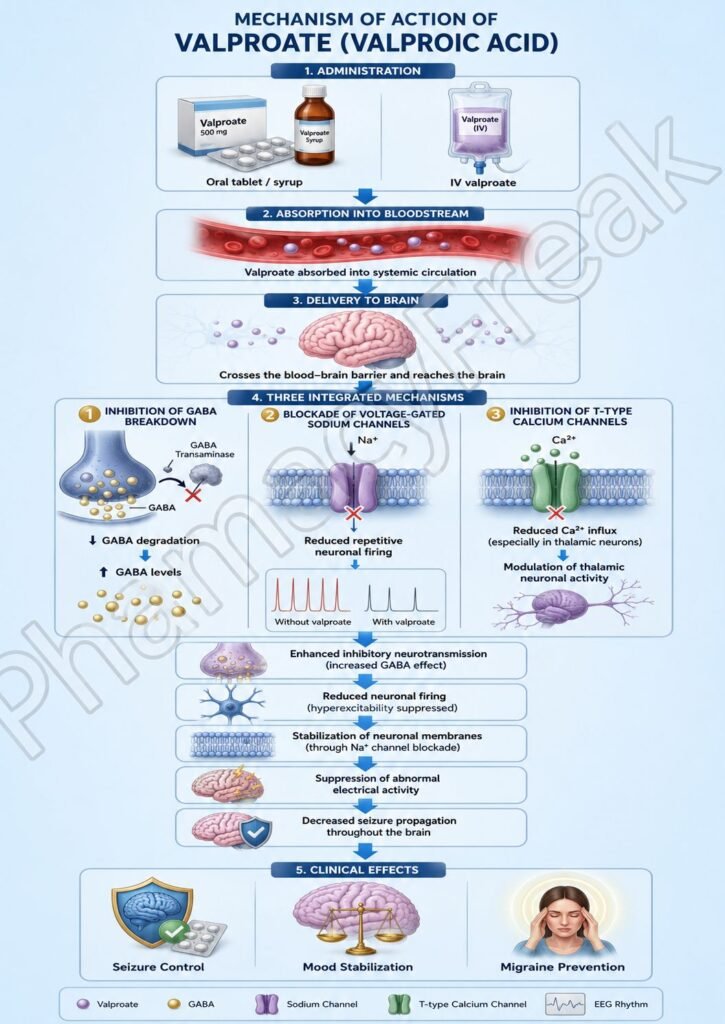 Mechanism of Action of Valproate Flowchart