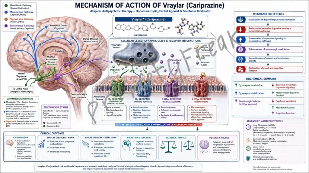 Vraylar Mechanism of Action
