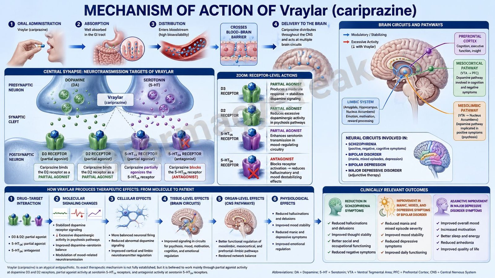 Mechanism of Action of Vraylar