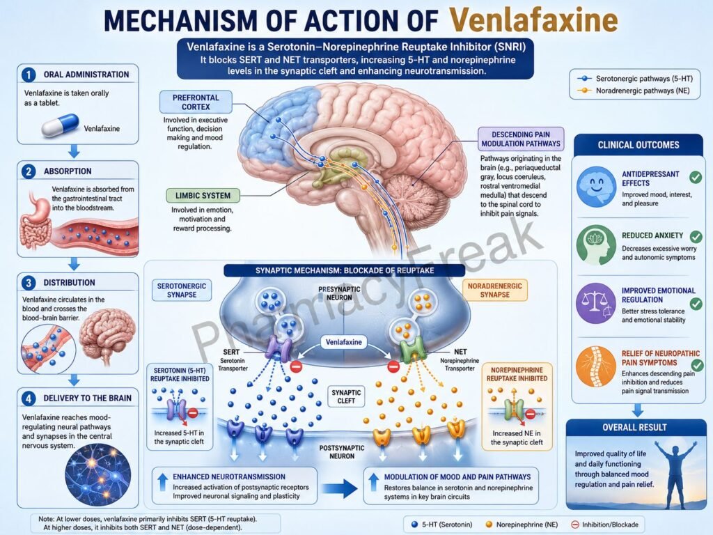 Venlafaxine Mechanism of action