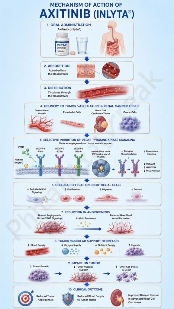 Mechanism of Action of Axitinib Flowchart