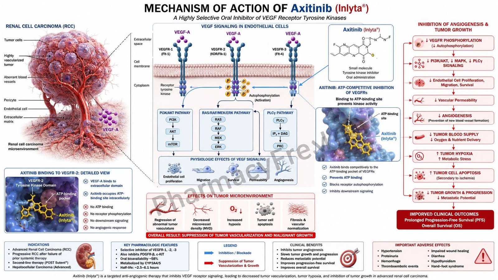 Mechanism of Action of Axitinib