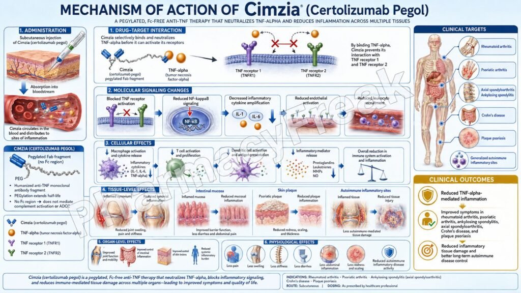 Cimzia Mechanism of Action