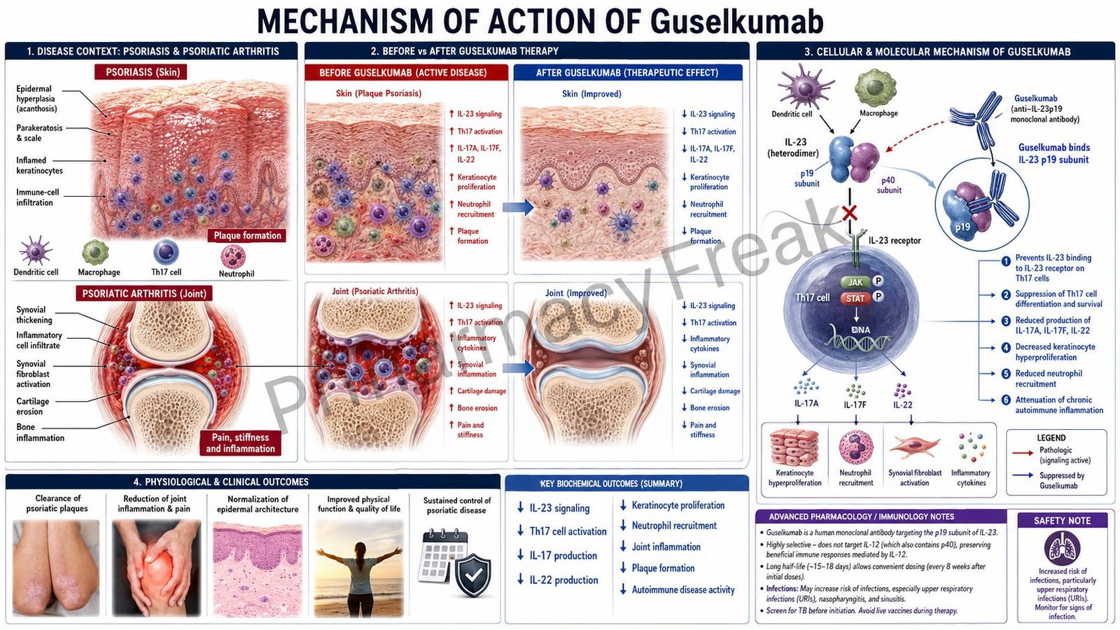 Guselkumab Mechanism of Action