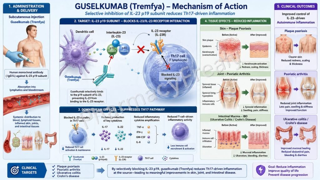 Mechanism of Action of Guselkumab