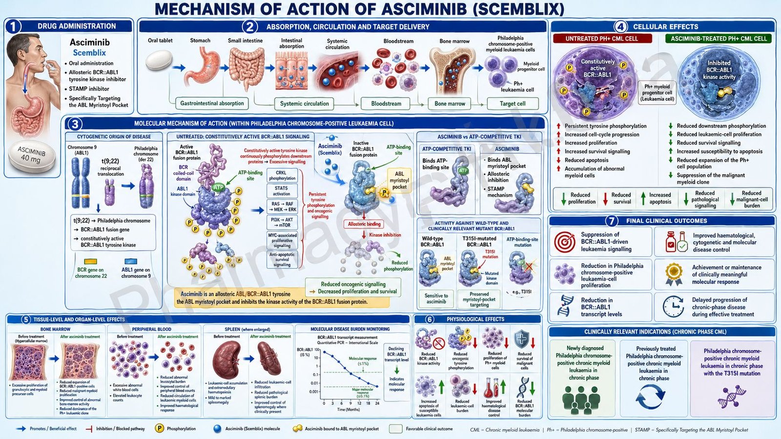 Asciminib Mechanism of Action
