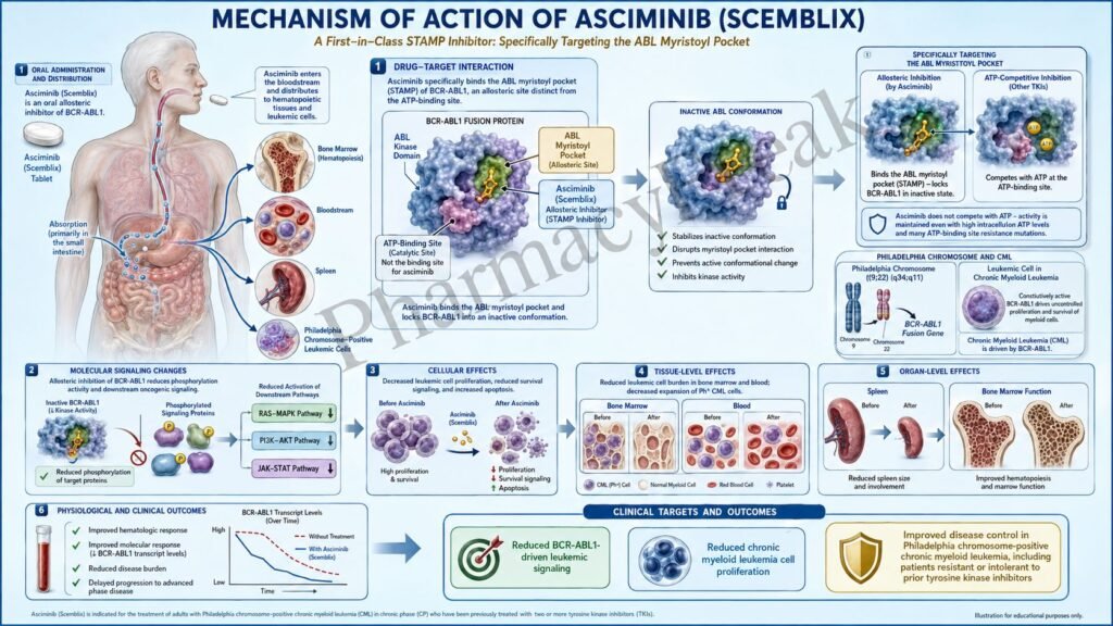 Mechanism of Action of Asciminib