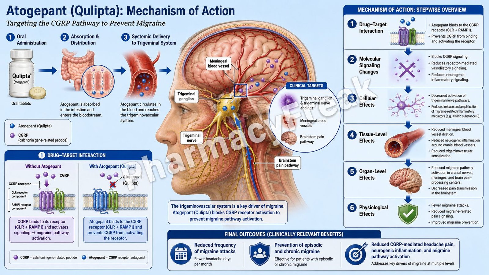 Mechanism of Action of Atogepant