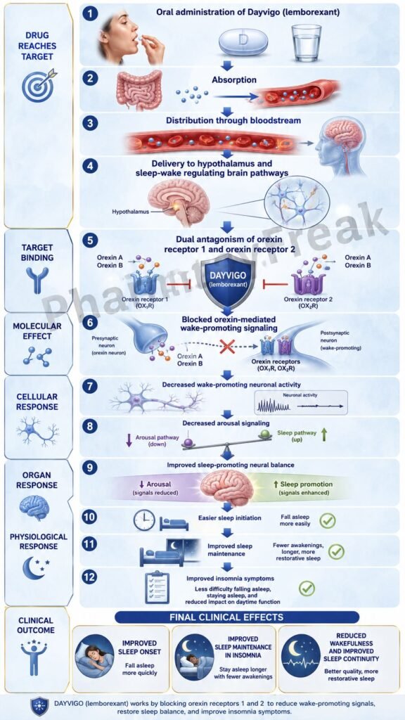 Mechanism of Action of Dayvigo Flowchart