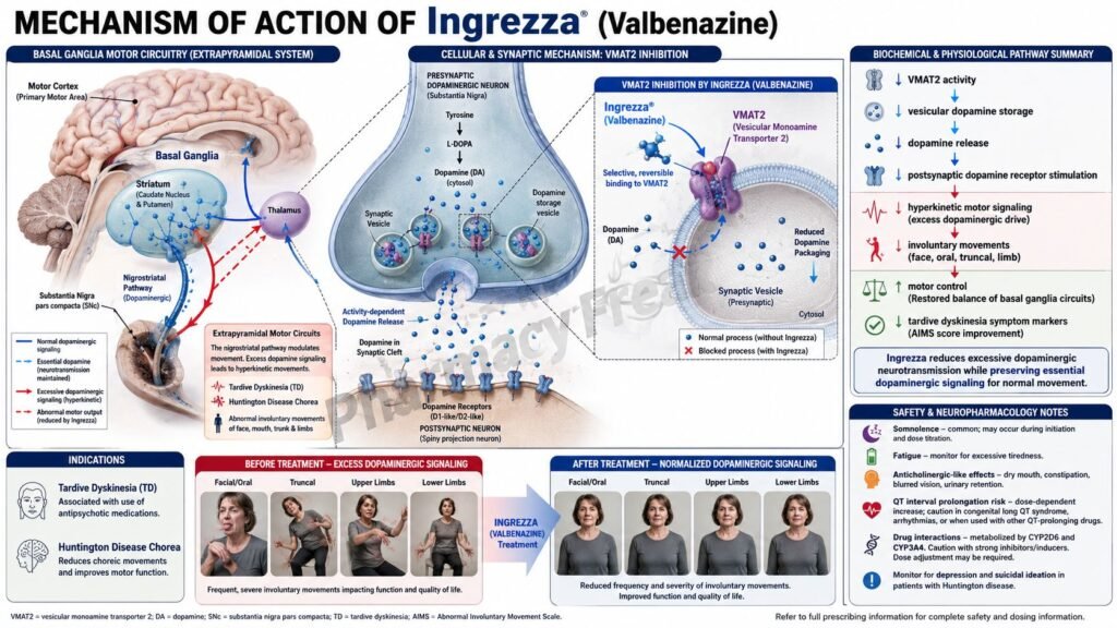 Mechanism of Action of Ingrezza
