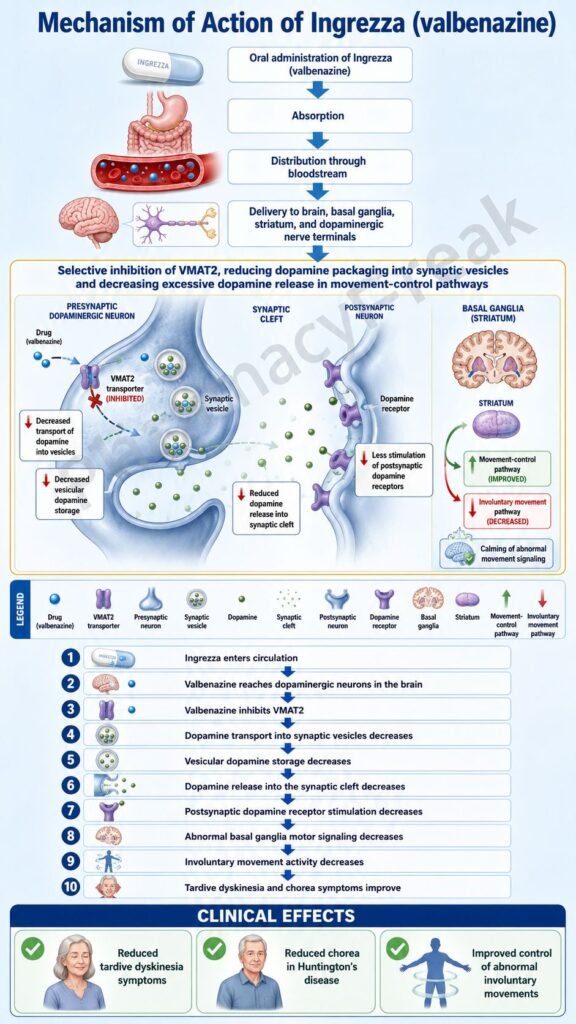 Mechanism of Action of Ingrezza Flowchart