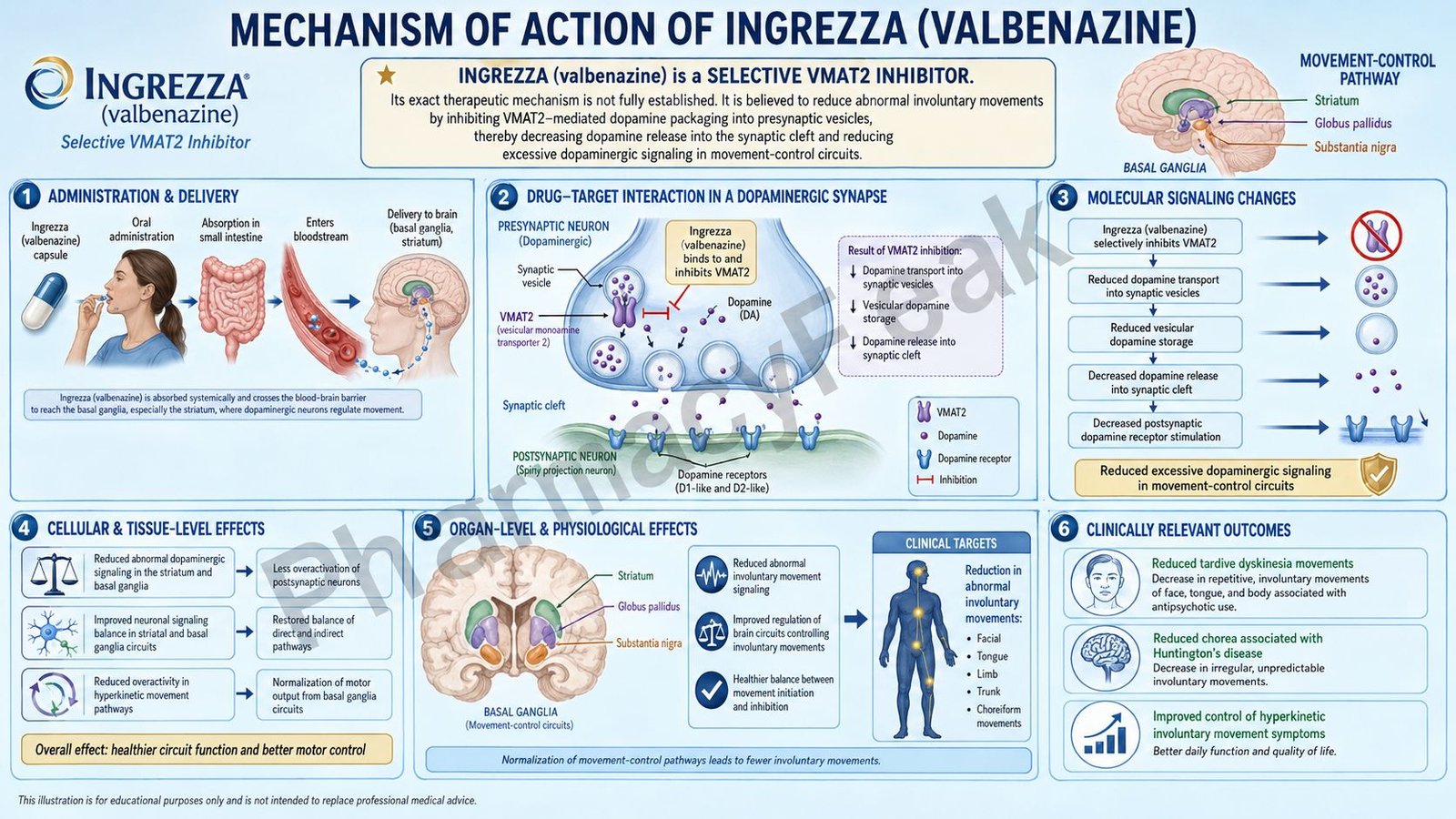 Ingrezza Mechanism of Action