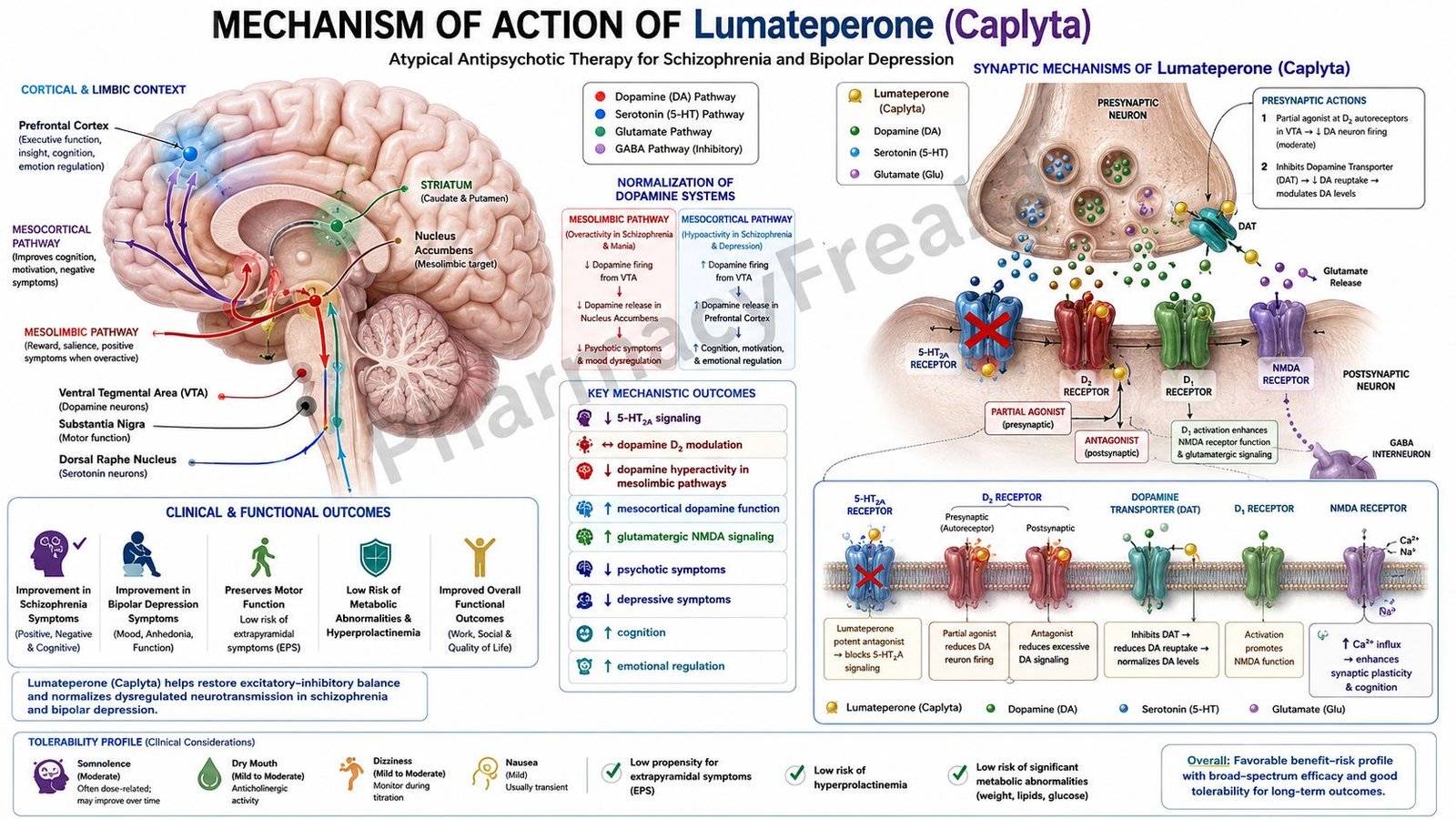 Mechanism of Action of Lumateperone