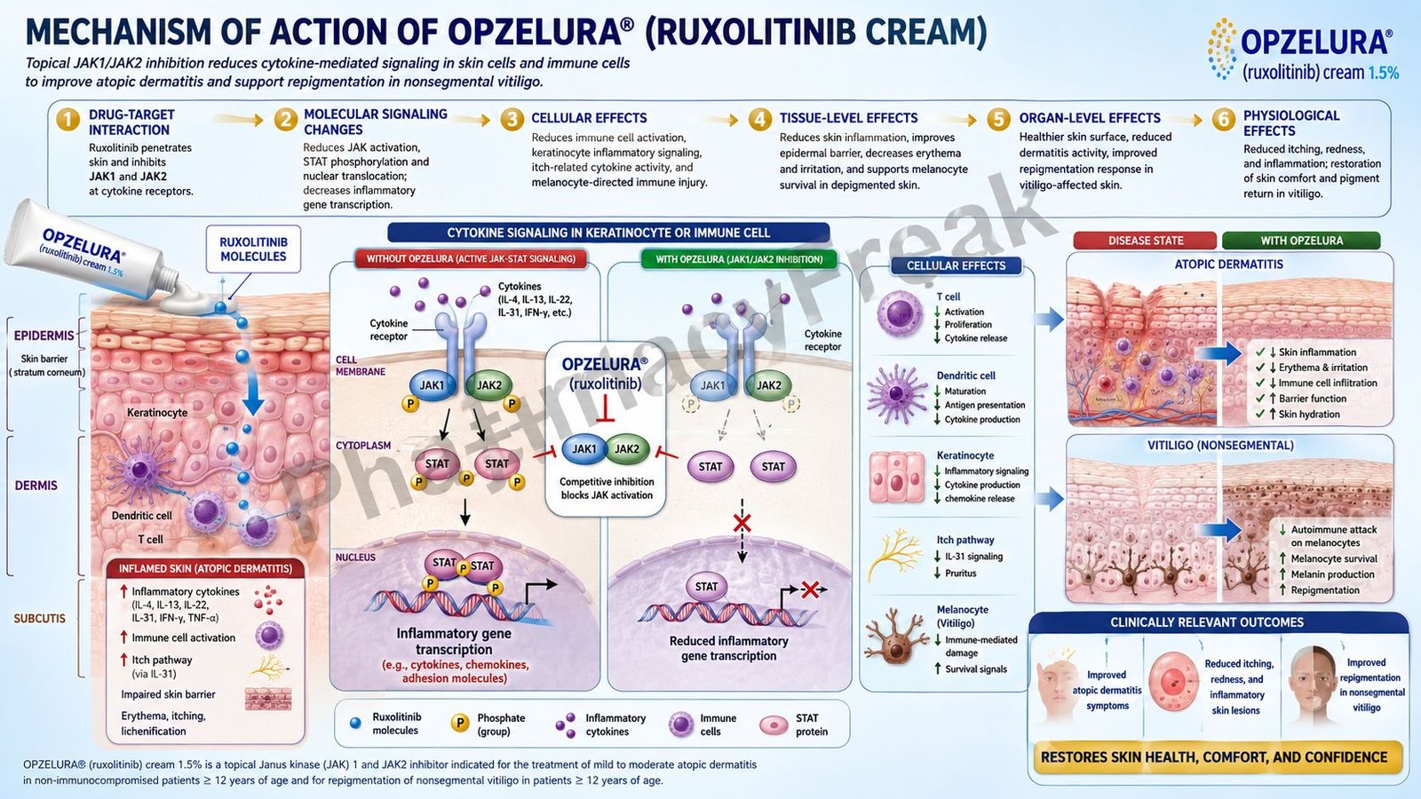 Mechanism of Action of Opzelura