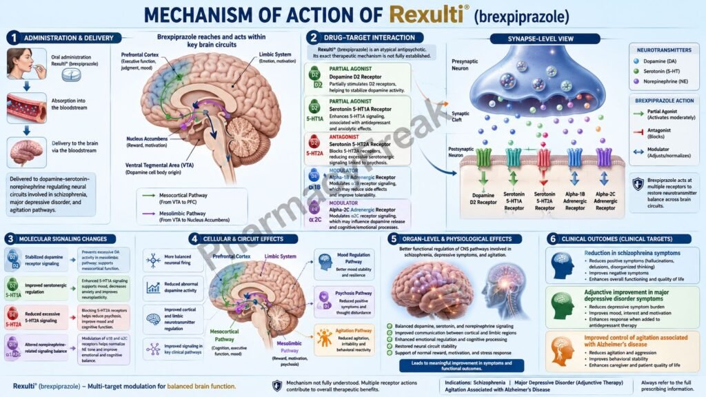 Rexulti Mechanism of Action