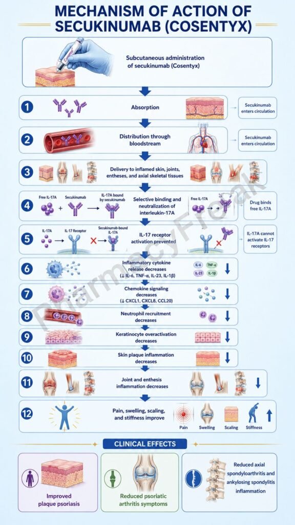 Mechanism of Action of Secukinumab Flowchart