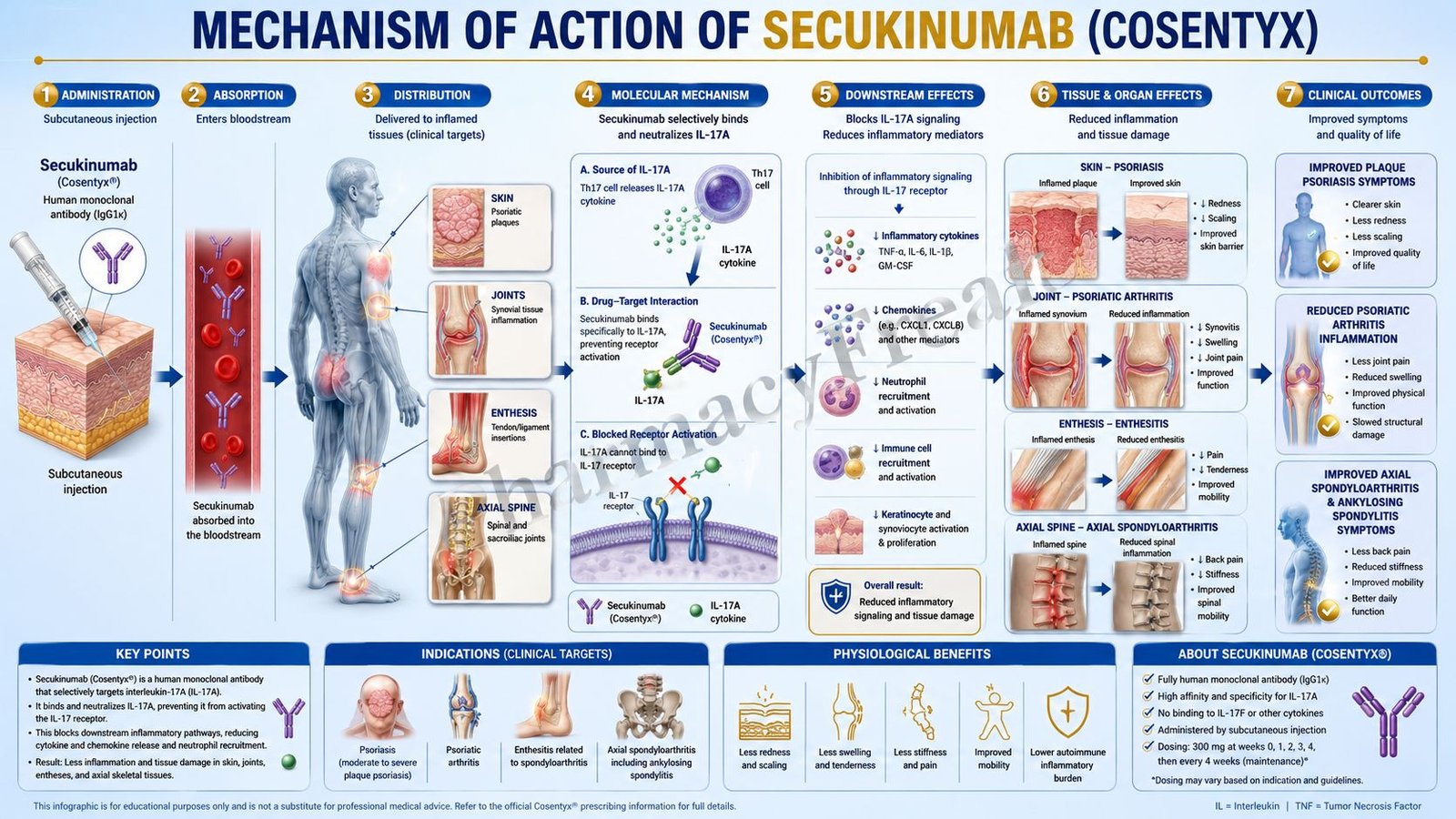 Secukinumab Mechanism of Action