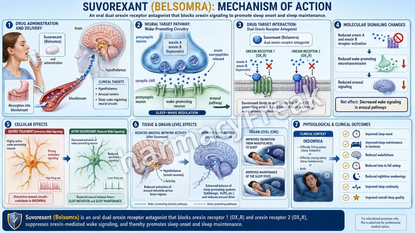 Mechanism of Action of Suvorexant