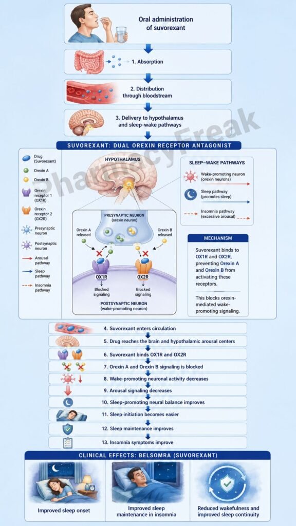 Mechanism of Action of Suvorexant Flowchart