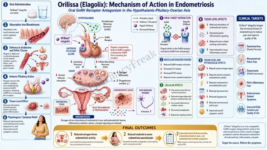 Mechanism of Action of Orilissa