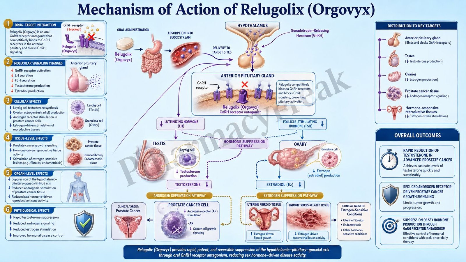 Mechanism of Action of Relugolix